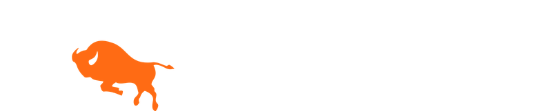 D'Avino Service